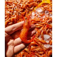 달짝지근한 홍새우(단새우) 1kg